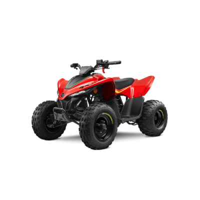 Quad pour enfant