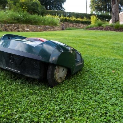 Tondeuse robot pour jardin